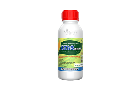 Atas 500EC