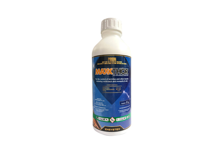 Maxxthor